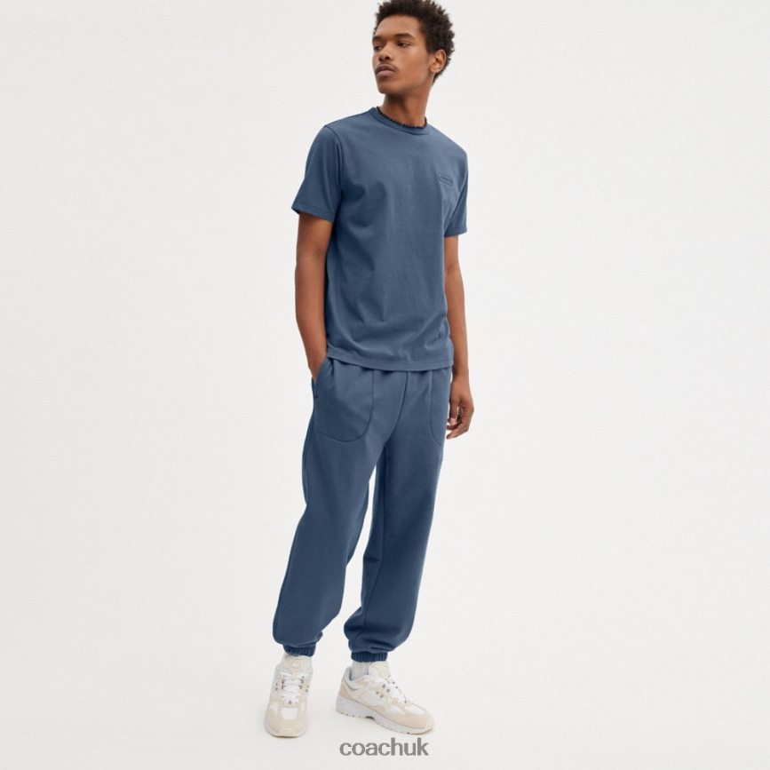 Coach Men ESSENTIAL T-SHIRT Blue. D0DL44782