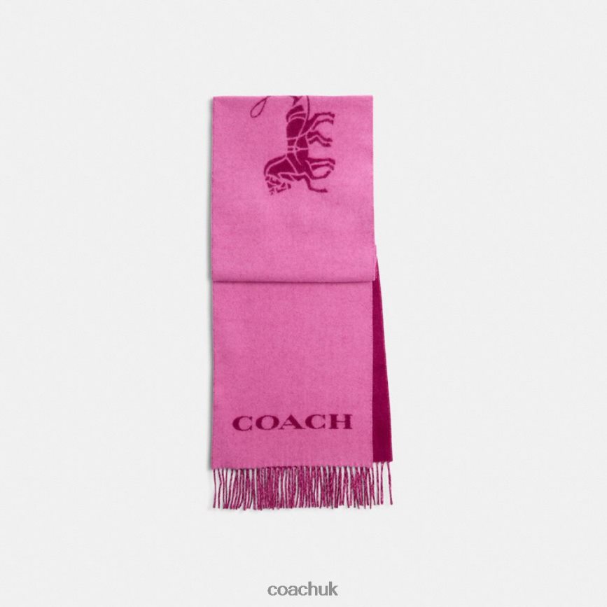 Coach Women HORSE AND CARRIAGE CASHMERE MUFFLER DEEP PLUM D0DL44575