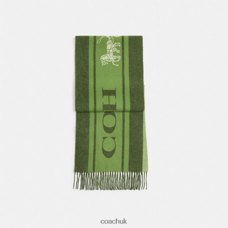 Coach Women VARSITY SPORT CASHMERE MUFFLER Amazon Green D0DL44583