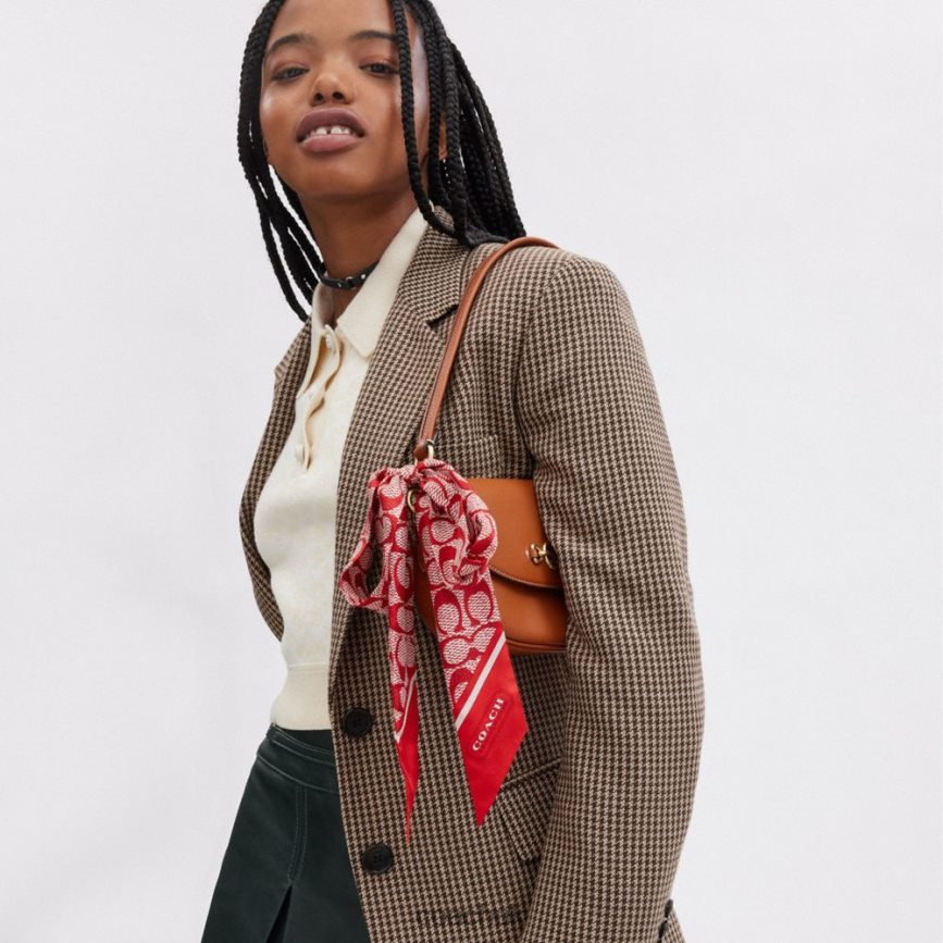 Coach Women VINTAGE SIGNATURE PRINT SILK SKINNY SCARF Sport Red D0DL44546