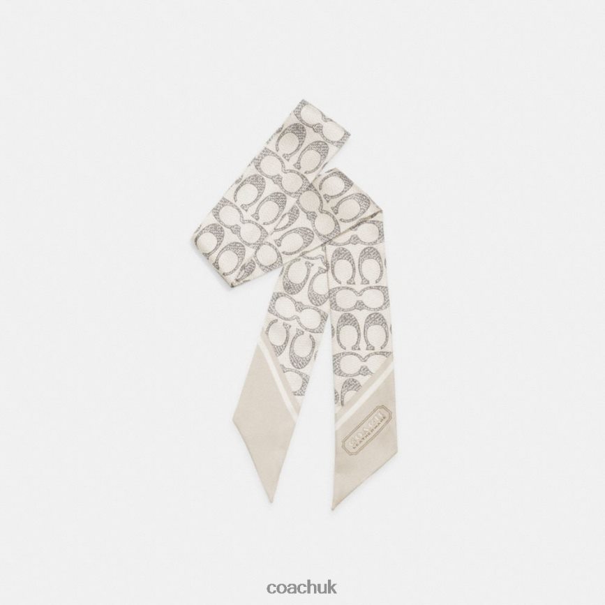 Coach Women VINTAGE SIGNATURE PRINT SILK SKINNY SCARF Steam D0DL44590