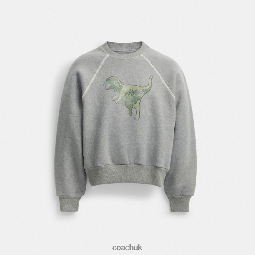 Coach Women REXY CREWNECK SWEATSHIRT Gray D0DL44483