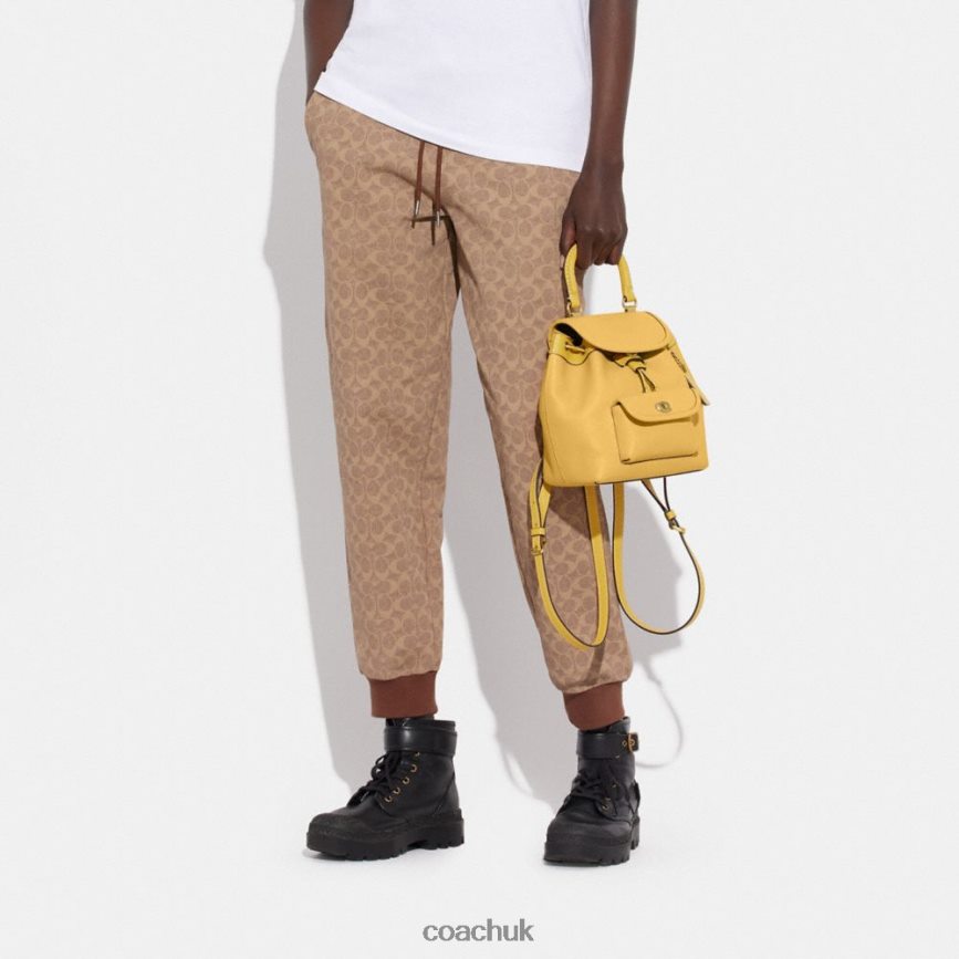 Coach Women RIYA BACKPACK 21 B4/Hay D0DL4461