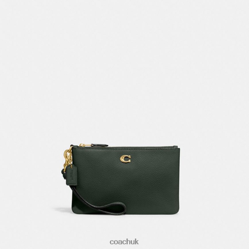 Coach Women SMALL WRISTLET B4/Amazon Green D0DL44363