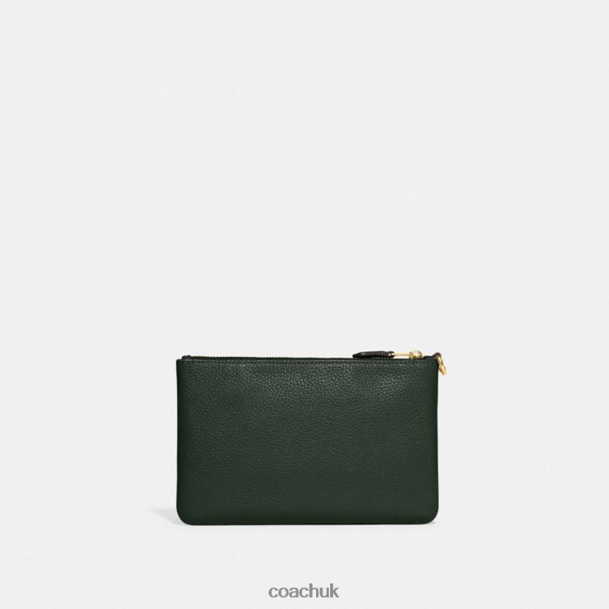 Coach Women SMALL WRISTLET B4/Amazon Green D0DL44363